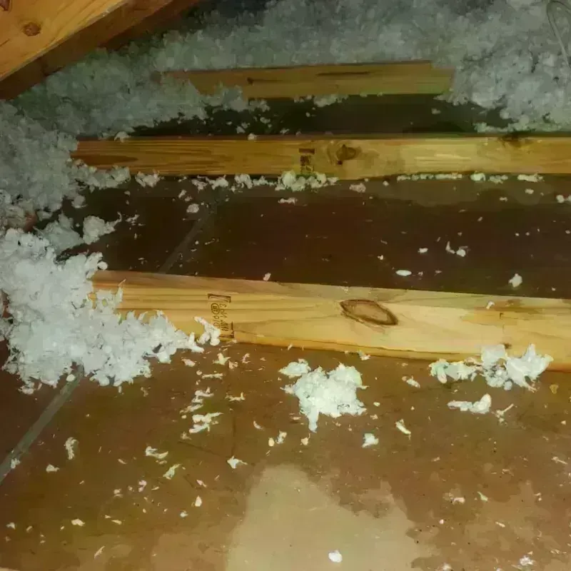 Attic Water Damage in Marshall County, MN